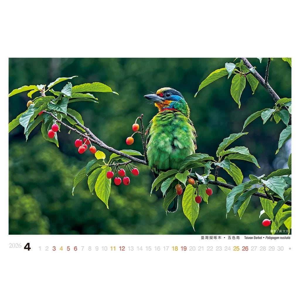 2026年桌曆/誠品同款/驚喜禮:圖片 6