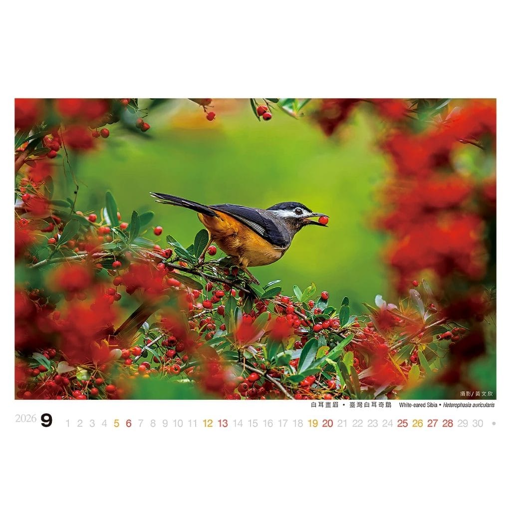 2026年桌曆/誠品同款/驚喜禮:圖片 8