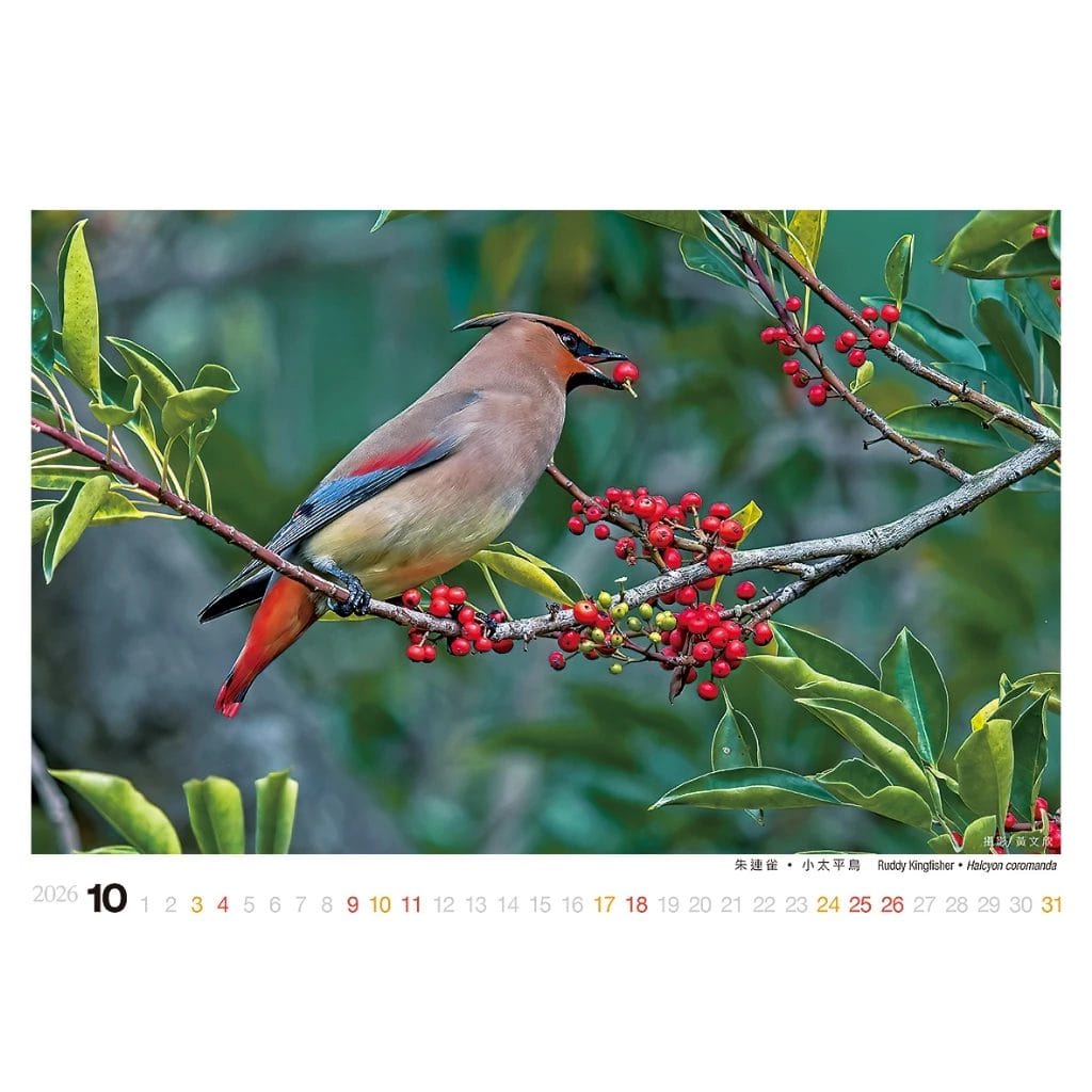 2026年桌曆/誠品同款/驚喜禮:圖片 9