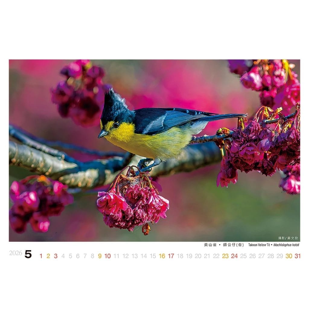 2026年桌曆/誠品同款/驚喜禮:圖片 10